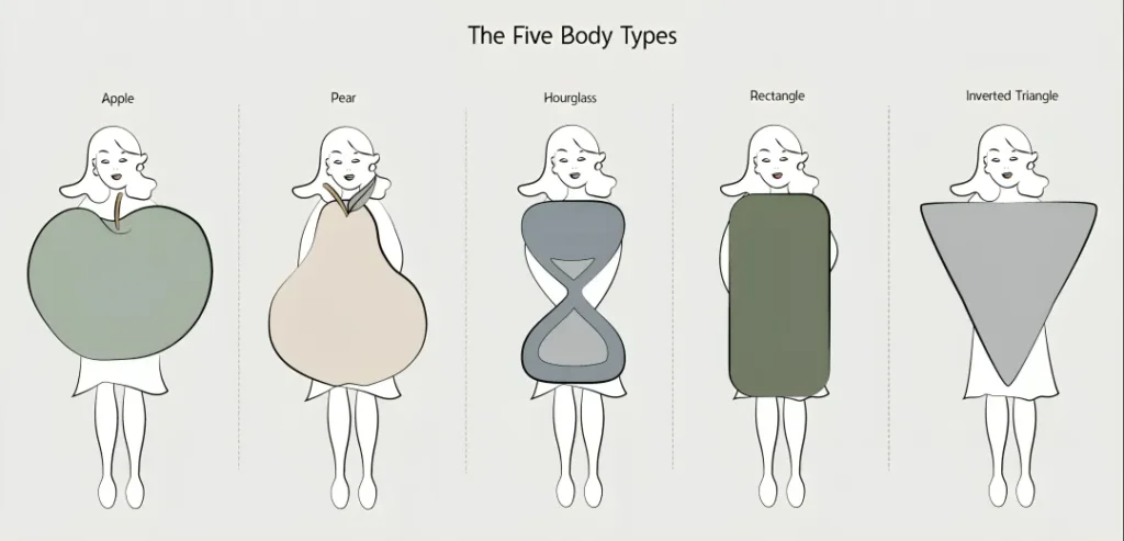 Body shape chart showing hourglass, pear, apple, rectangle and inverted triangle silhouettes