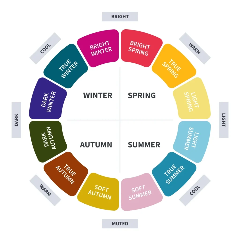 Seasonal color analysis chart with labelled seasonal categories