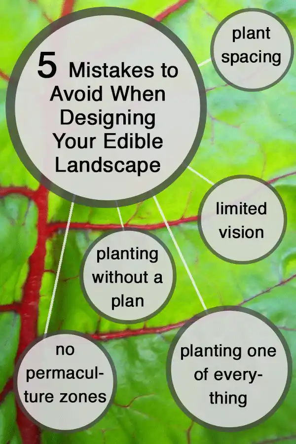 lifestyle and home mistakes infographic